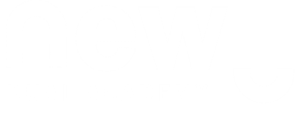 Dual Academy